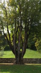 PHOTO-2020-09-07-08-58-42 3